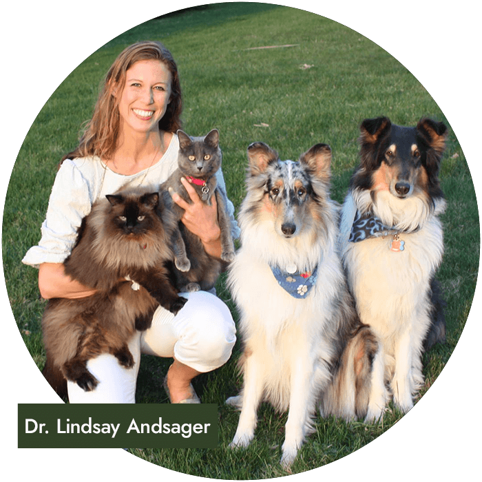 Doctor Lindsay Andsager Spotlight