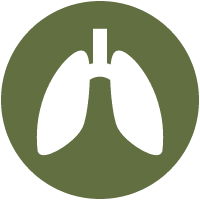 Respiratory Icon