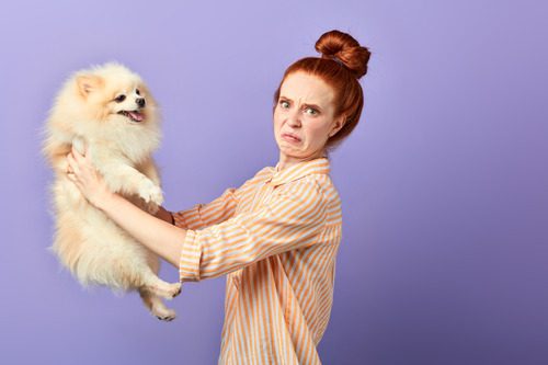 woman-holding-smelly-pomeranian-dog-away-from-her