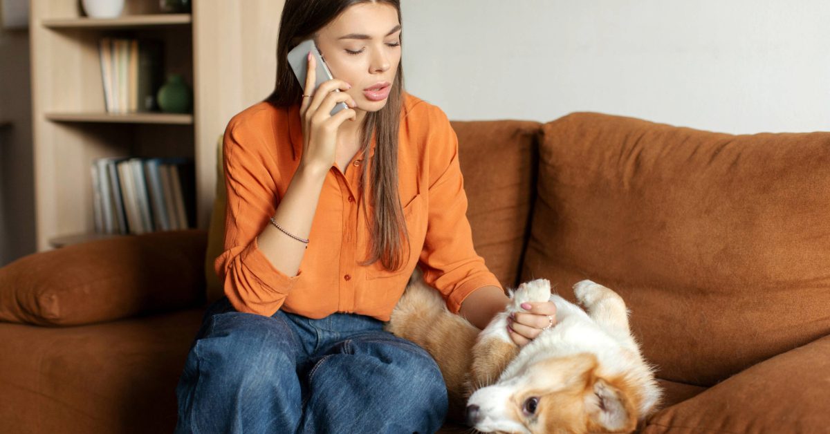 worried female pet owner on the phone with the vet at home with her corgi dog