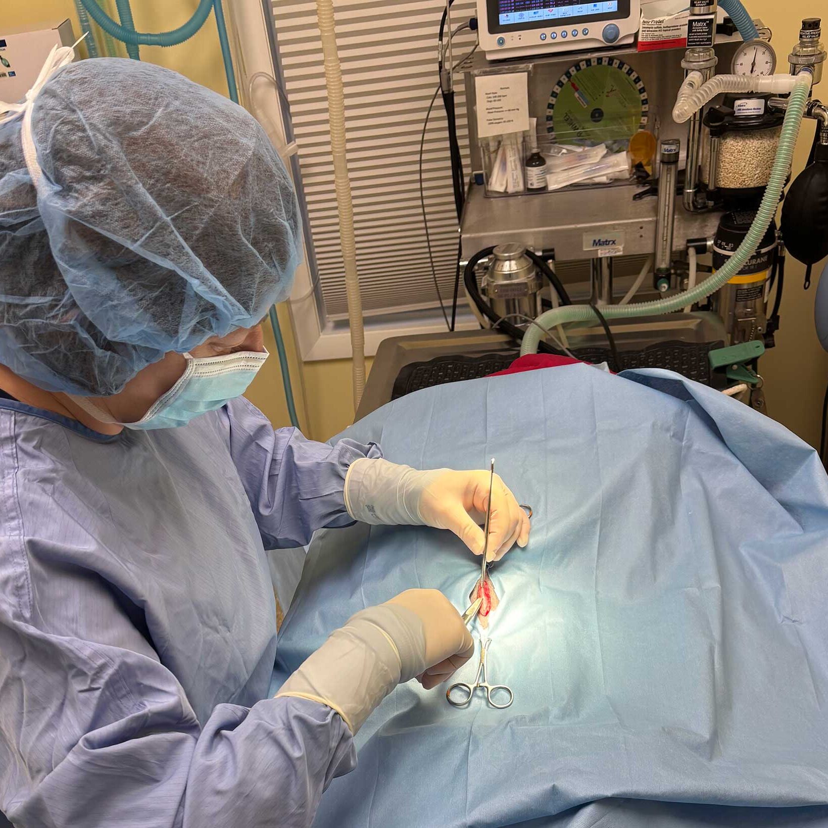 Doctor During Surgery Doctor During Surgery