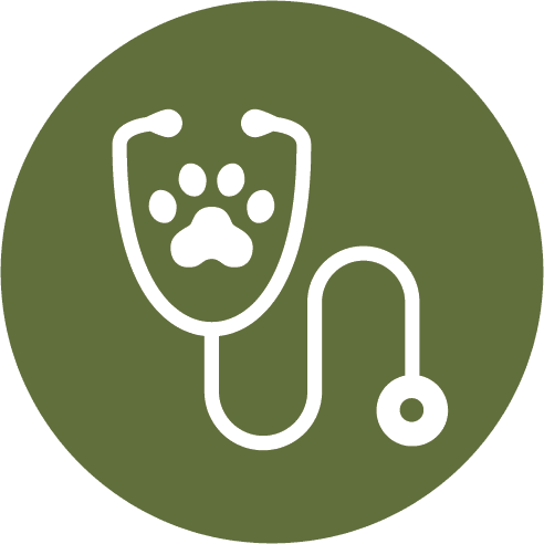 Stethoscope With Paw Icon In Circle